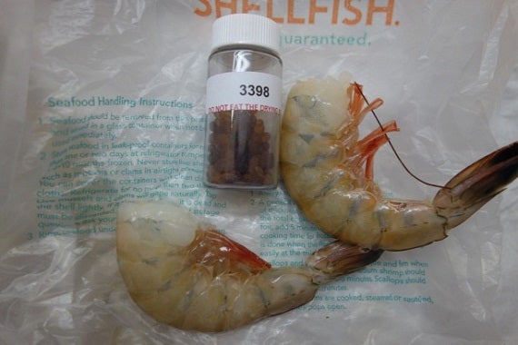 Uncovering Shrimp Seafood Fraud Diaries From The Field Part One Oceana Europe