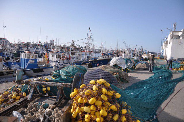 Illegal driftnets in Morocco / Redes de deriva ilegales en Marruecos