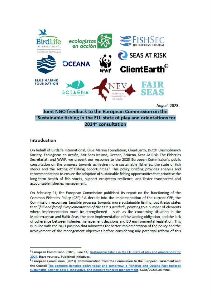 Joint NGO feedback to the European Commission on the “Sustainable fishing  in the EU: state of play and orientations for 2024” consultation - Oceana  Europe