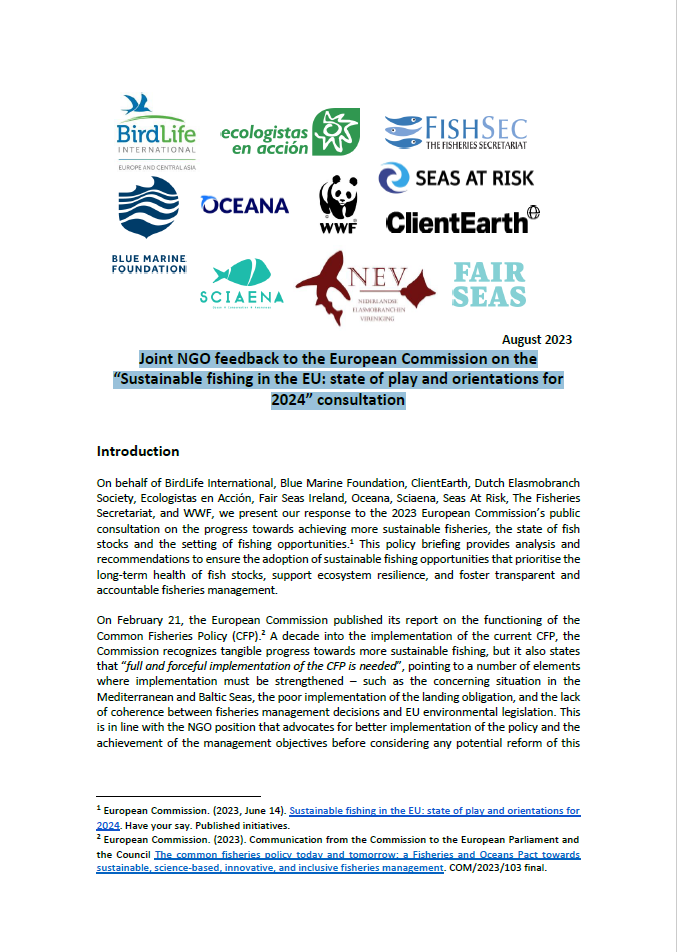 Joint NGO feedback to the European Commission on the “Sustainable fishing  in the EU: state of play and orientations for 2024” – FishSec