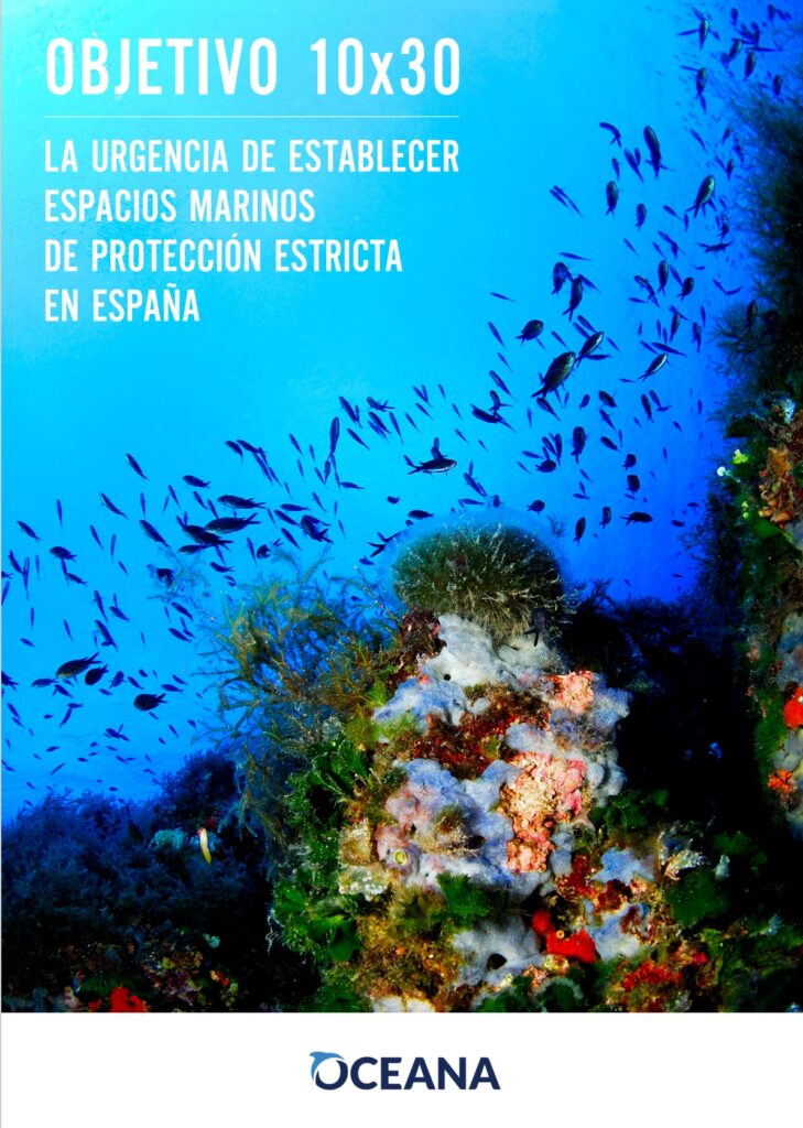 OBJETIVO 10x30. LA URGENCIA DE ESTABLECER ESPACIOS MARINOS DE PROTECCIÓN ESTRICTA EN ESPAÑA.