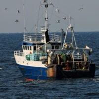 Ban bottom trawling in marine protected areas