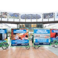 Overfishing in the Western Mediterranean