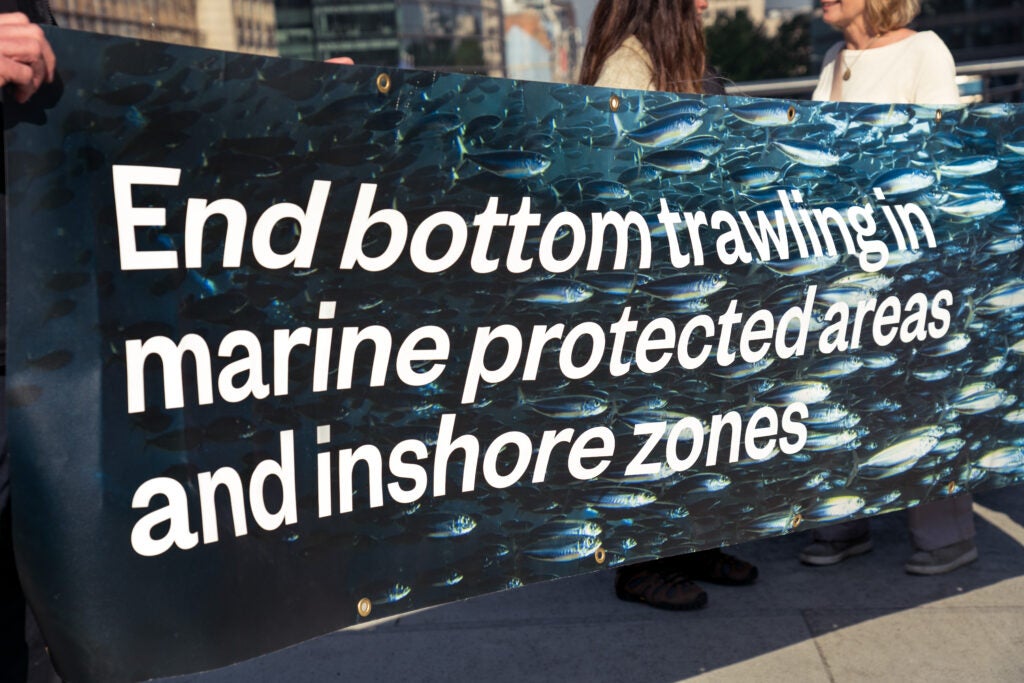 end Bottom trawling in MPAs