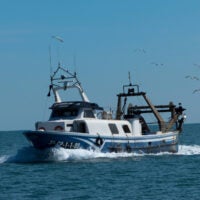 extending deep-sea trawl ban