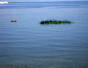 Gulf of Finland