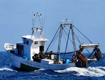 OCEANA - Common Fisheries Policy