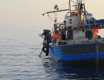 CA Drift Gillnets – An Unsustainable Fishing Practice Off The West Coast