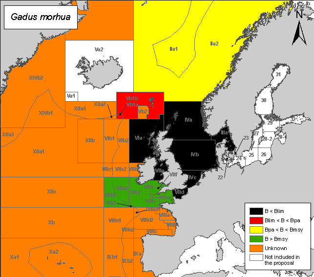 OCEANA - Gadus morhua