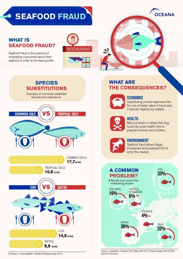 French Seafood fraud Infography