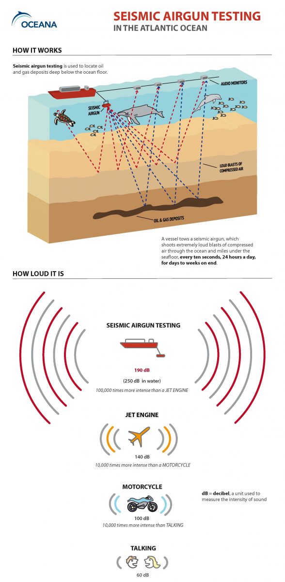 Oceana_Seismic_Airgun_Testing_Infographic