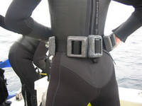 Diver suit