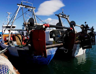 The Impact of Commercial Bottom Trawling - The Fishing Website