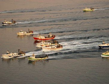 Trawlers in Roses