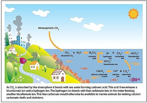 The Mediterranean Sea Is So Hot, It's Forming Carbonate Crystals