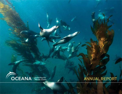 Annual report 2012