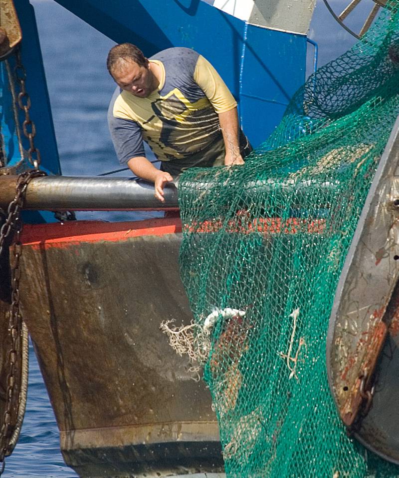 Pescador en la popa del arrastrero Nuevo Panchita recogiendo las redes con gorgonias arrancadas después de faenar ilegalmente a 23 m de profundidad y a menos de 6 millas de la costa. Mazagón, Huelva, España. Expedición por el Mediterráneo del catamarán Oceana Ranger. Septiembre 2007