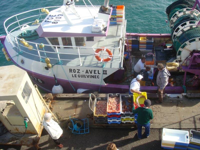 Trawler Roz Avel II unloading seafood in the harbour of Guilvinec, Brittany, France. September 2007.