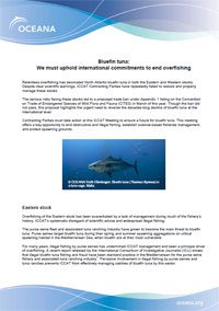 Bluefin tuna: We must uphold international commitments to end overfishing