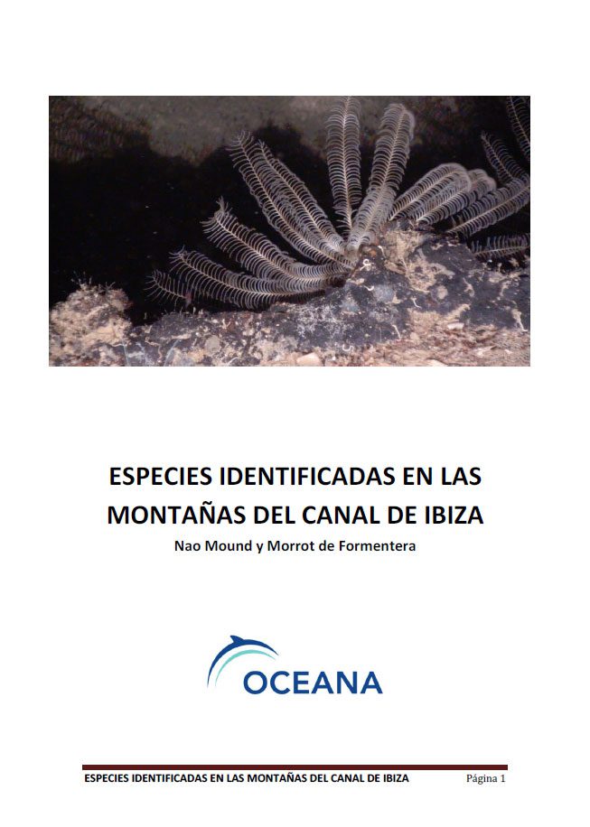 Especies identificadas en las montañas del Canal de Ibiza