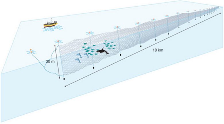 Drift Net Fishing Gear | informacionpublica.svet.gob.gt