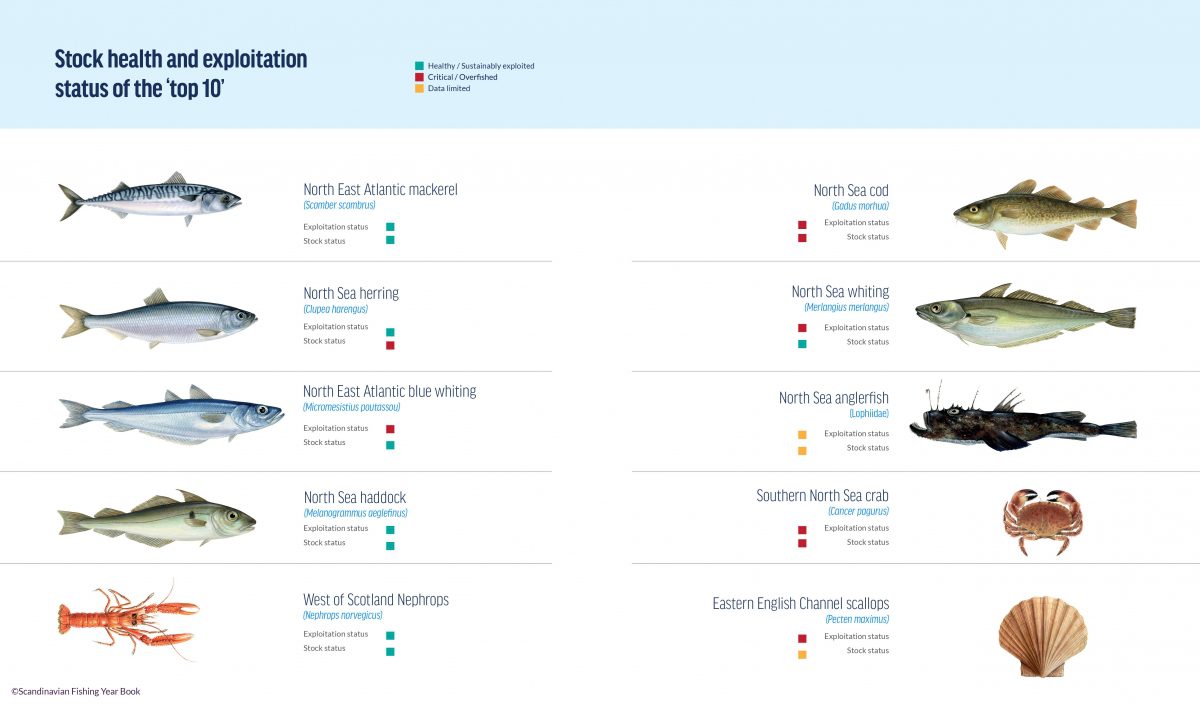 UK Fisheries Audit 2021 - Oceana Europe