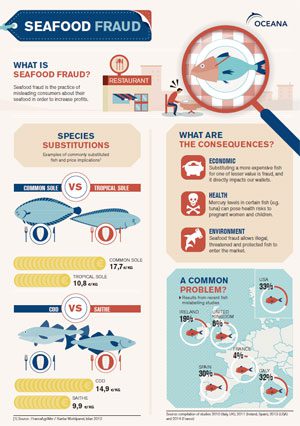 Seafood fraud Infography