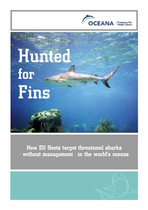 Longline Fishing and Shark Finning in the World's Oceans