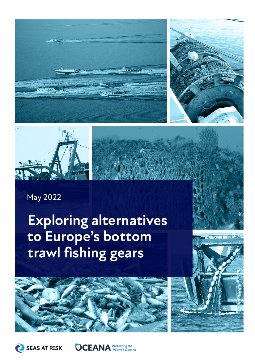 Harmful Gear: Trawls, Longlines, & Gillnets - Oceana USA