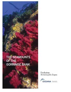 Seamounts of the Gorringe Bank