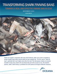 Transforming shark finning bans