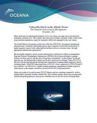 OCEANA - Vulnerable Sharks in the Atlantic Ocean