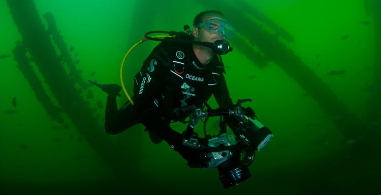 Oceana Latitude diving